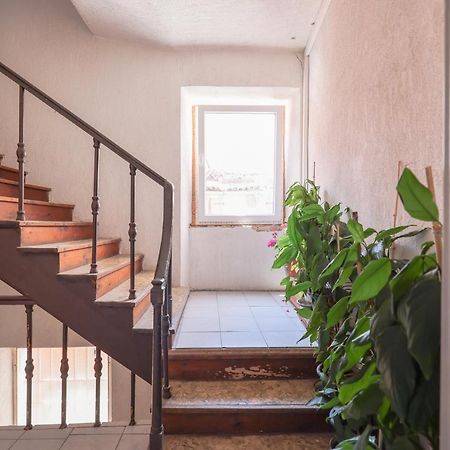 Cozy Studio Cvita Zadar Exteriér fotografie
