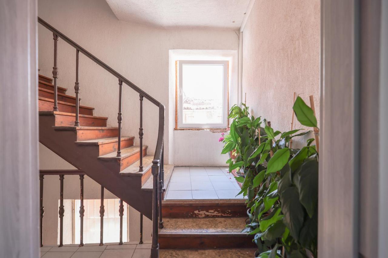 Cozy Studio Cvita Zadar Exteriér fotografie